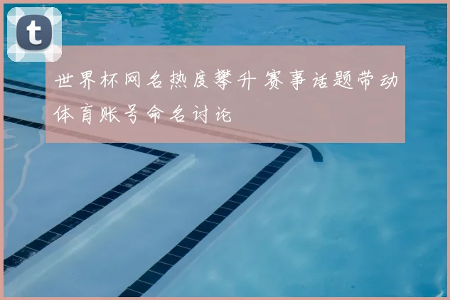 世界杯网名热度攀升 赛事话题带动体育账号命名讨论